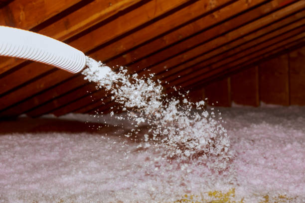 Types of Insulation We Offer in Hilltop, SC