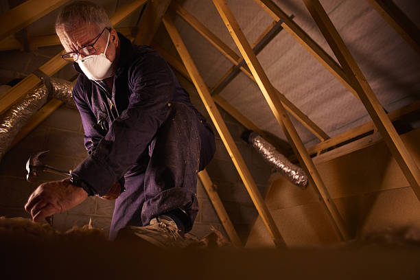 Best Geographic-Specific Insulation Services in Hilltop, SC